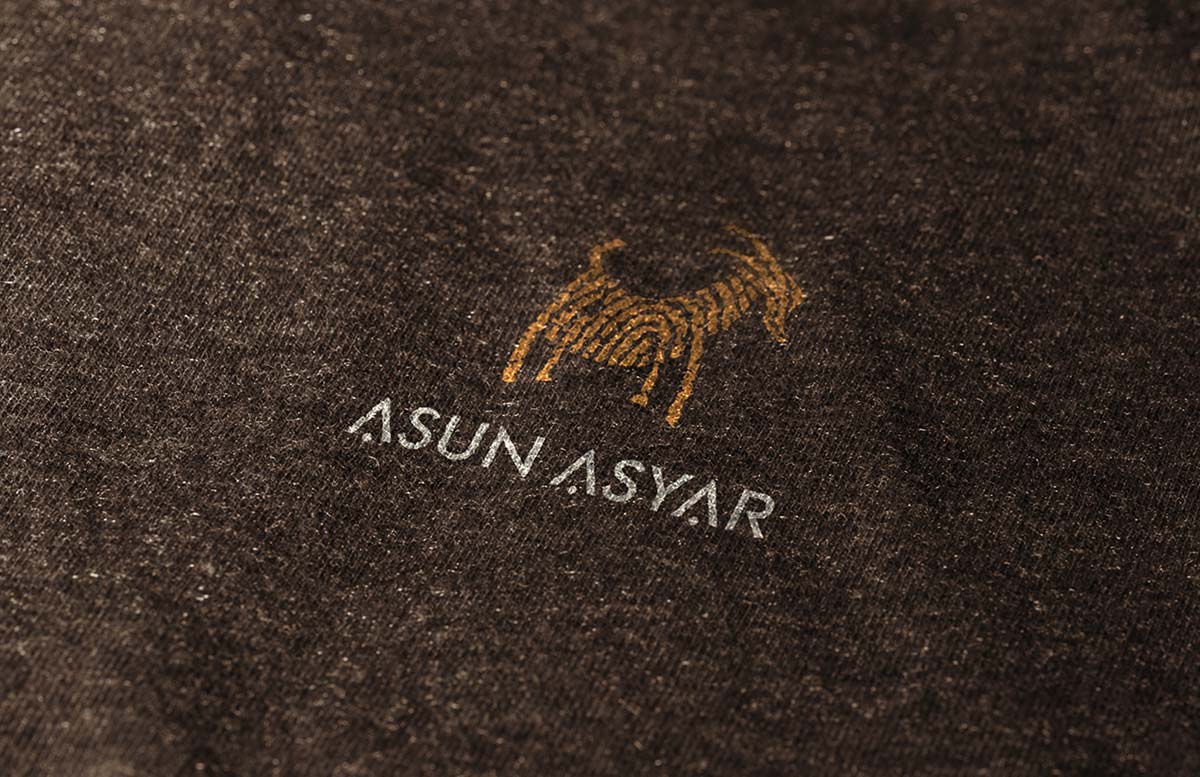 Asun Asyar