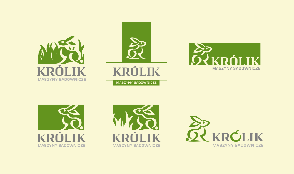 Alternative versions of option D